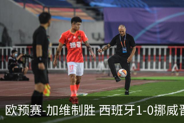 欧预赛-加维制胜 西班牙1-0挪威晋级欧洲杯正赛